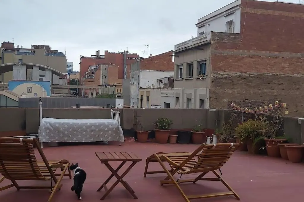 民宿 Small Room In Sants With Huge Terrace 巴塞罗那