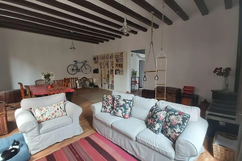 Small Room In Sants With Huge Terrace 巴塞罗那