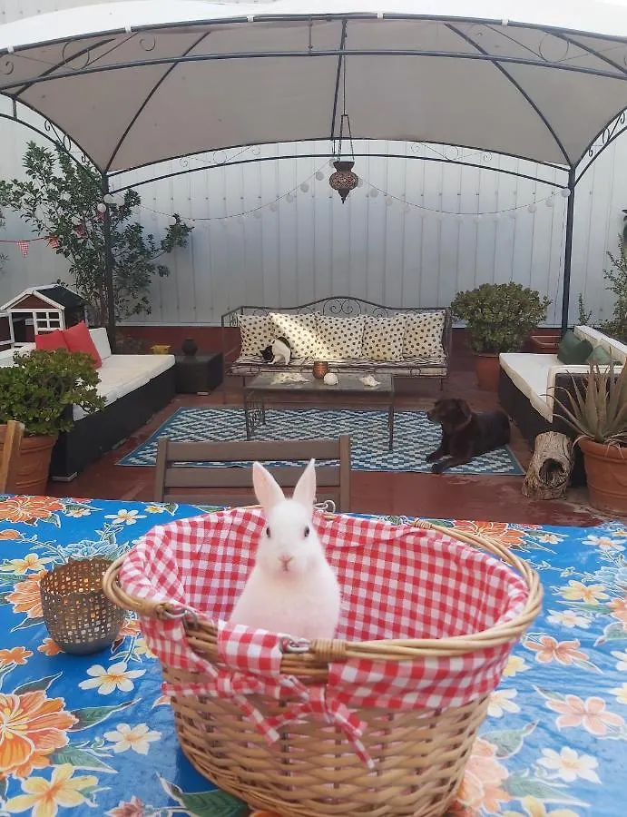Small Room In Sants With Huge Terrace Barcelona
