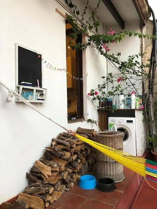 Small Room In Sants With Huge Terrace 바르셀로나 스페인